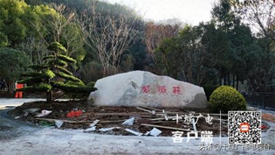 ​十堰城区紫薇园建设即将完工 元旦可向市民开放