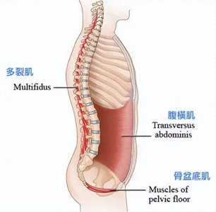 ​核心力量锻炼入门：从基础到进阶，打造坚实核心