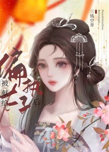 ​四本强取豪夺古言：《