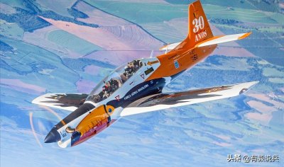 ​桑巴之舞“大嘴鸟”（Tucano）