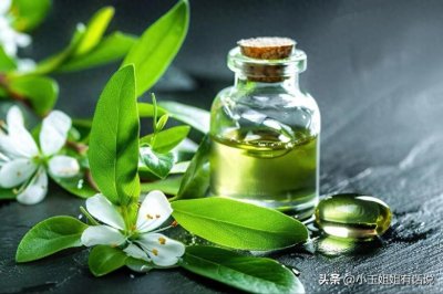 ​茶树精油：天然守护神