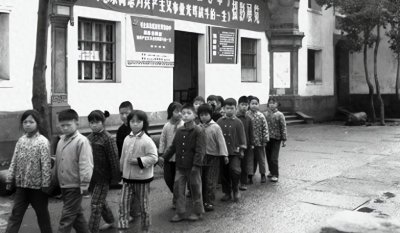 ​老李种了30年梨树被举报，镇长上门道歉：这片梨林救了整个村庄！