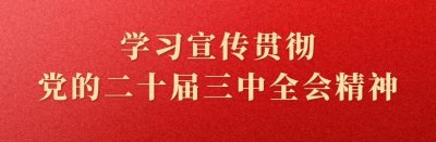 ​全霞浦人都在抢！200张门票，免费！