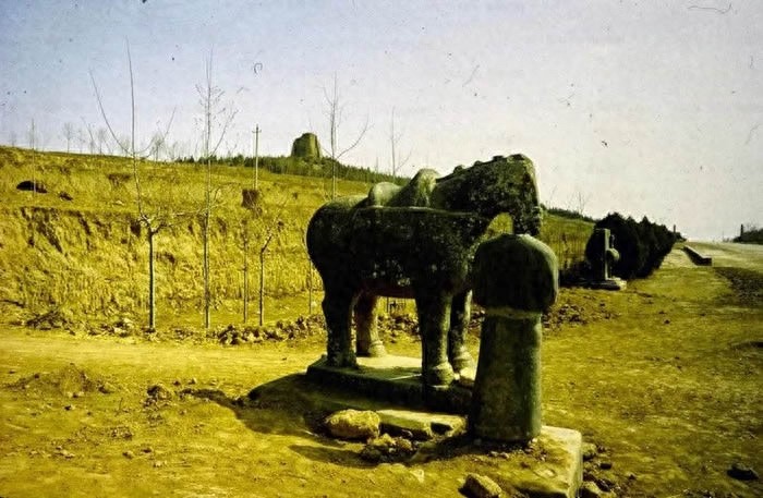 80年代乾陵：专家称地宫至少有500吨文物，郭沫若提议发掘被否决